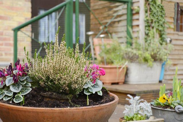 Shoreditch 1 With Garden London Ruang foto