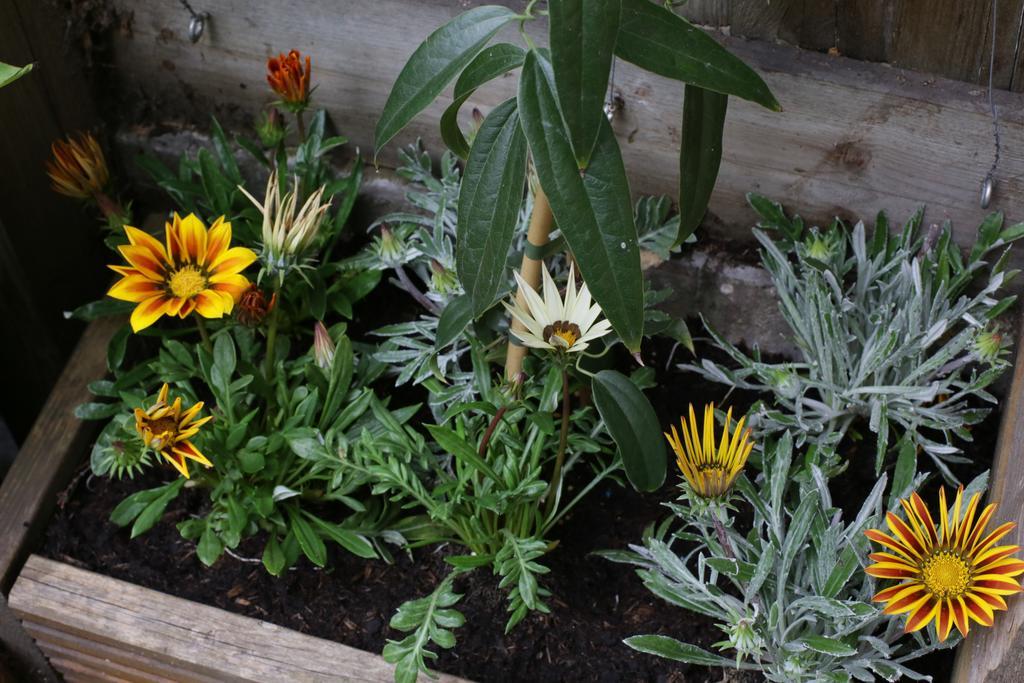 Shoreditch 1 With Garden London Ruang foto
