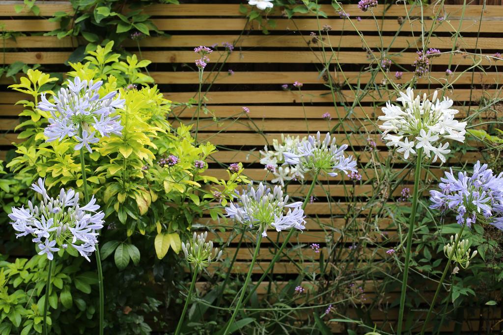 Shoreditch 1 With Garden London Ruang foto